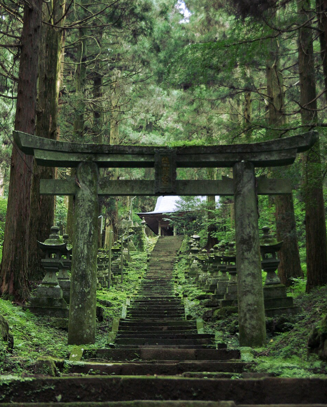 Image of Kumamoto Day Tour: Castle, Mt. Aso Crater & Shrine Visit