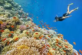 Image of 5-Day Cairo to Sharm El Sheikh Flight Package: Ancient Wonders & Beach Bliss