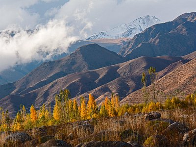 Image of Epic Son-Kul Expedition: 10 Days on Horseback in Kyrgyzstan