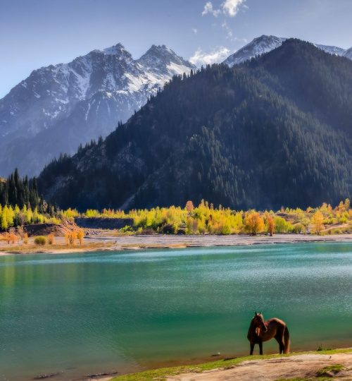 Issyk Lake Day Trip Scenic Waterfalls Trout Farm and Golden Man Museum