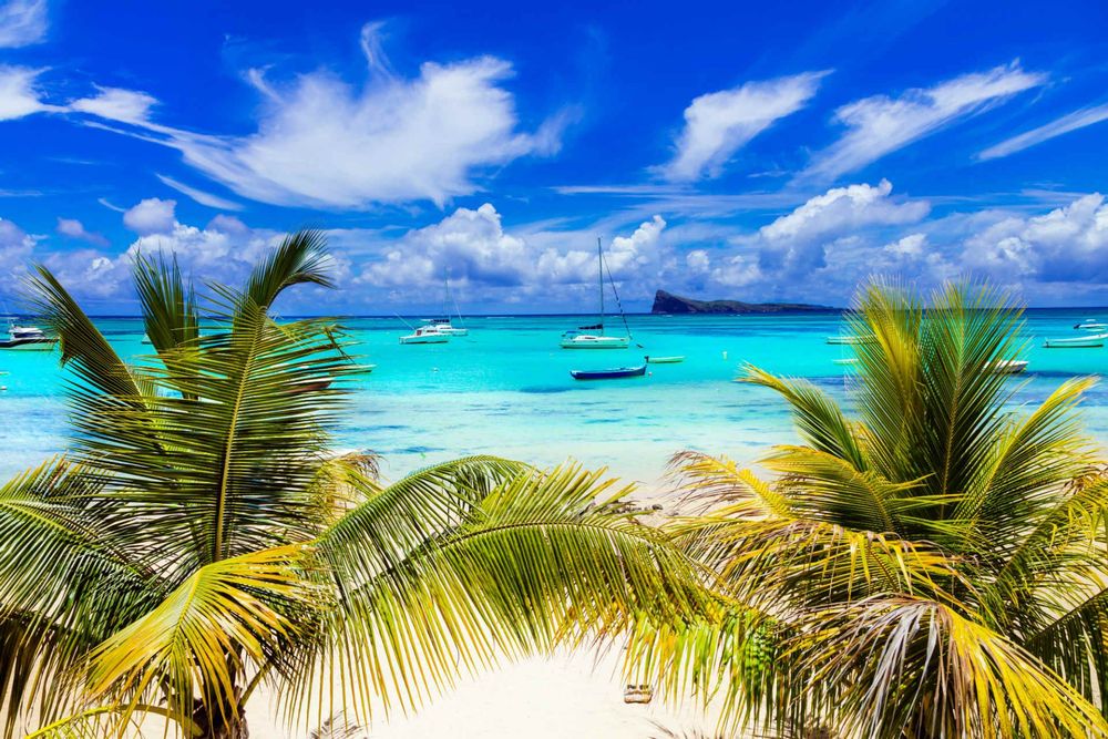Image of Swim with Dolphins & Island Escape – Crystal Rock & Île aux Bénitiers Tour