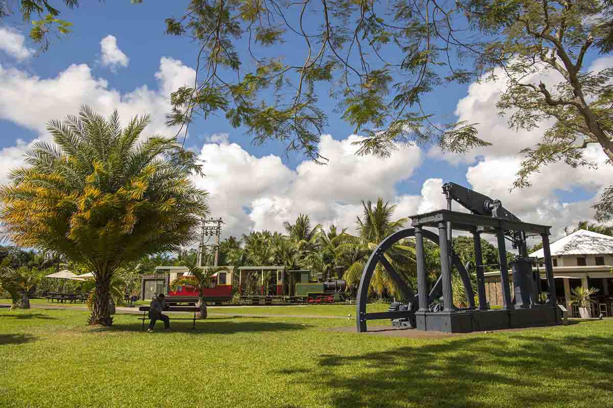 Discover North Mauritius: Botanical Gardens, Sugar Museum & Colonial Charm