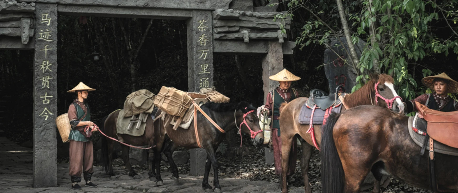 Image of 6-Day Classic Yunnan Trekking Tour: Tiger Leaping Gorge & Ancient Tea Horse Road