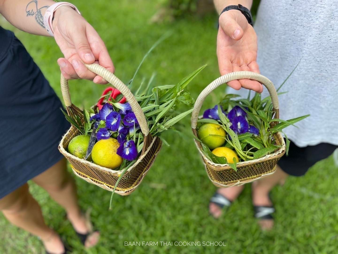 Image of Baan Farm Thai Cooking Class in Chiangmai