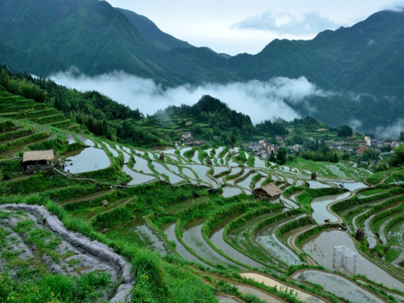 Image of Search for Hidden Songyang: 3-Day Ancient Trail Hiking Tour
