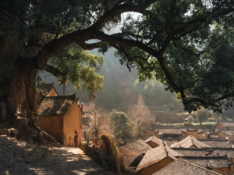 Image of Search for Hidden Songyang: 3-Day Ancient Trail Hiking Tour