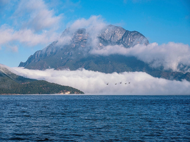 Image of 2026 Yunnan Panorama 8 Days Tour: Kunming, Dali, Lijiang, Shangri-La & Lugu Lake