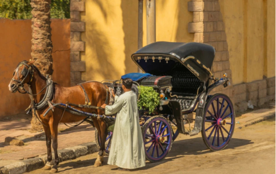 Image of Luxor Carriage Sightseeing — Traditional Ride, Local Markets & Riverside Life