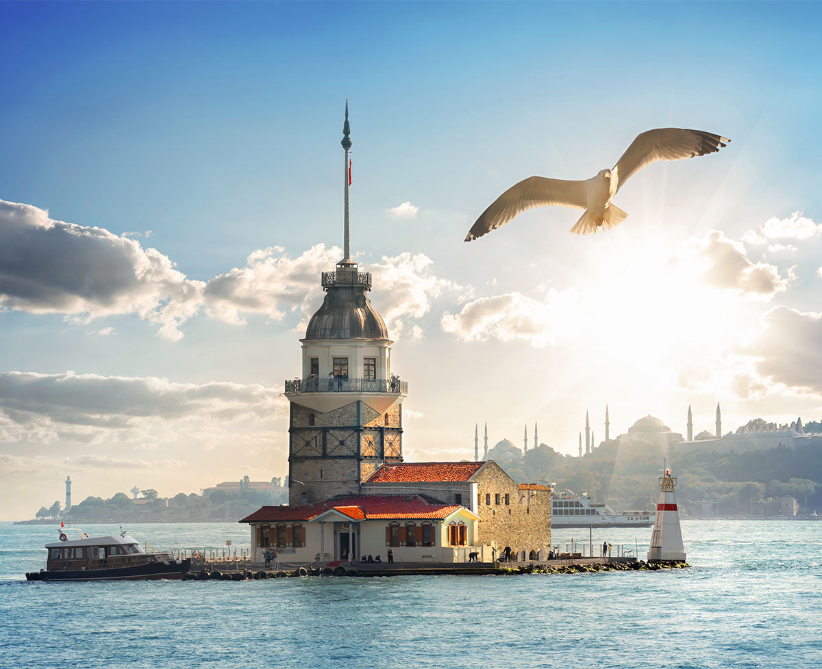Image of Istanbul Asian Side Private 8-Hour Tour Camlica Beylerbeyi & Bosphorus Views