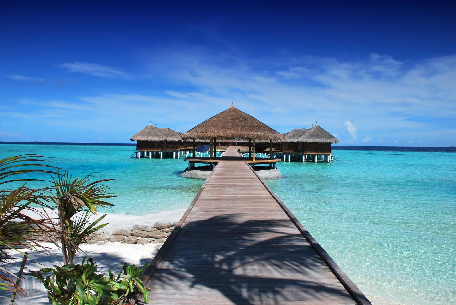 Image of Maldives island beach