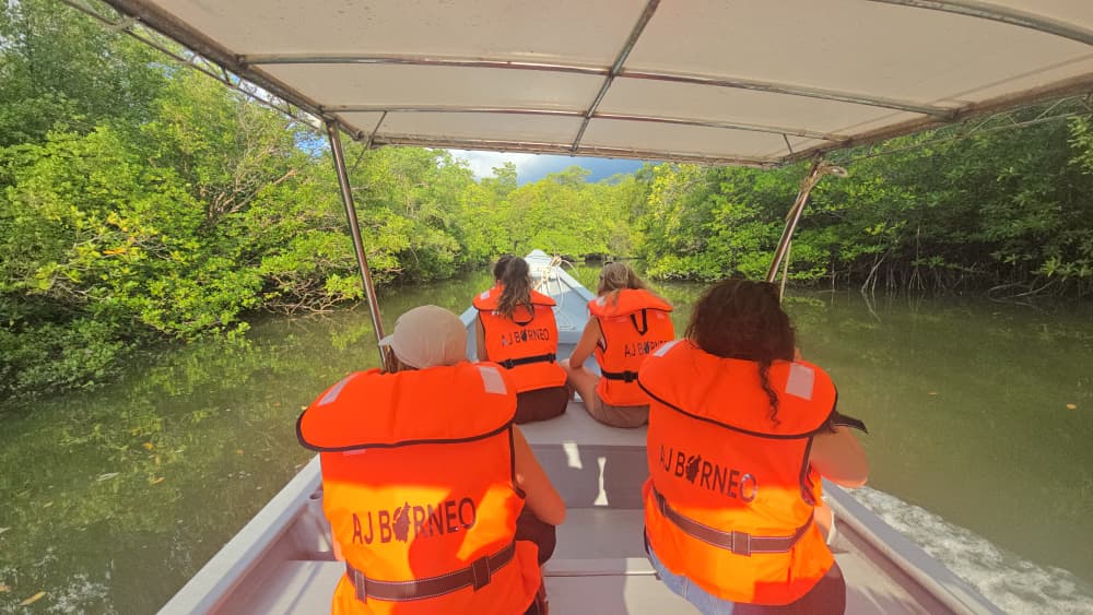KUCHING MANGROVE WILDLIFE & FIREFLIES (PRIVATE TOUR)