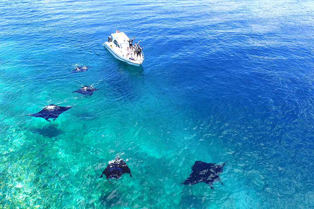 Komodo Island Delight: 3 Days, 5 Island Hopping, Your Free & Easy Labuan Bajo Blitz!