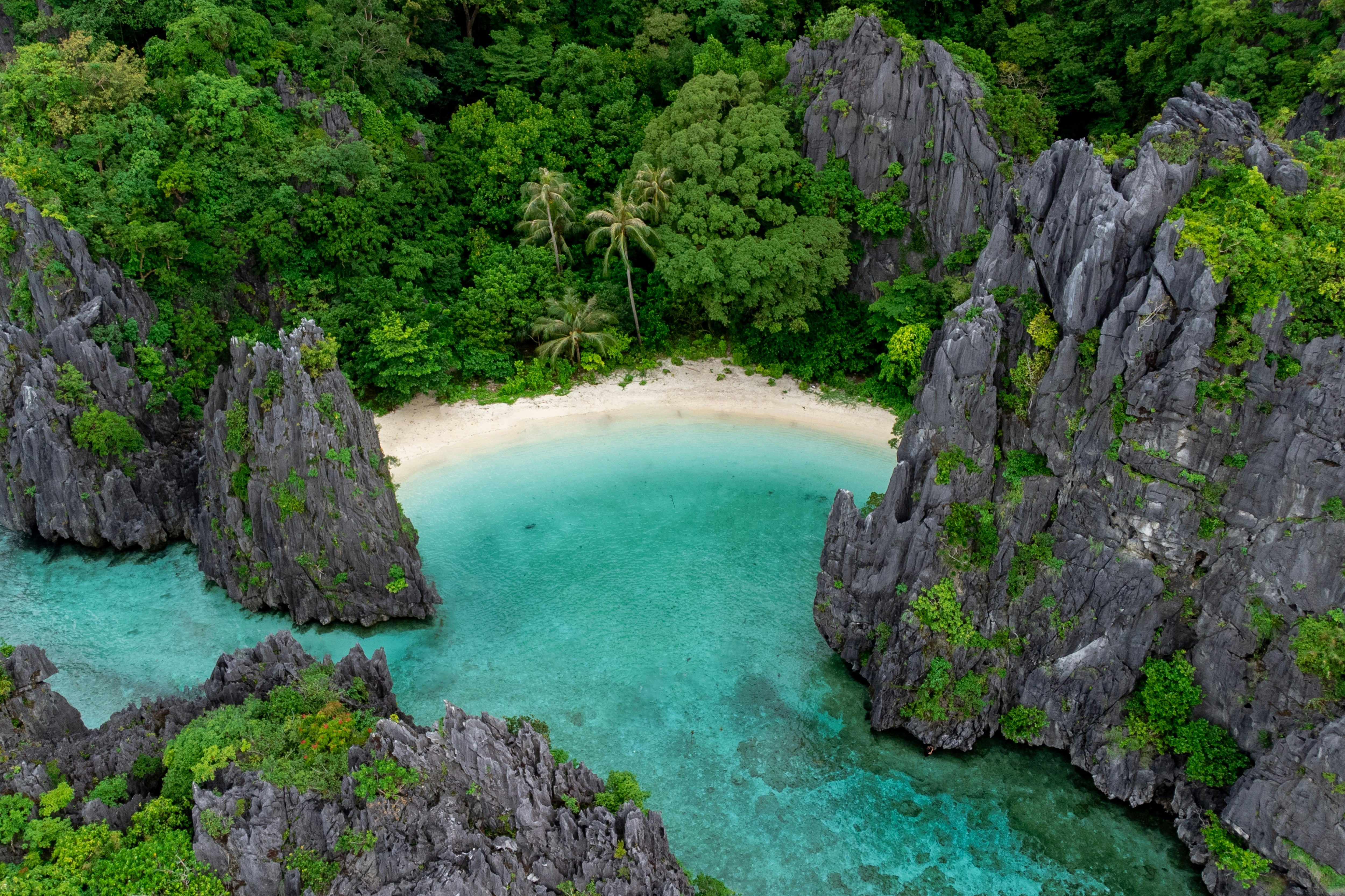 Image of Best of Palawan 6D5N: Honda Bay & El Nido Lagoon Tour