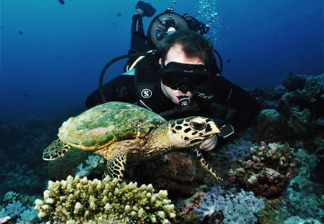 Image of Scuba Diving in Mauritius – Explore Coral Gardens & Historic Wrecks