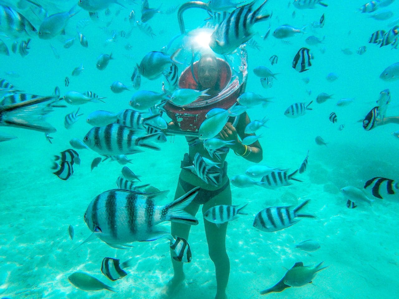Image of Sea Walk Mauritius at Belle Mare – A Magical Underwater Experience
