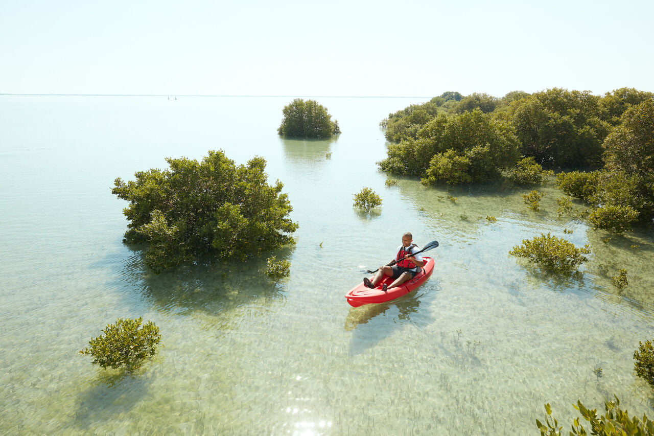 Image of Purple Island Mangrove Kayaking Tour – Hidden Oasis Adventure