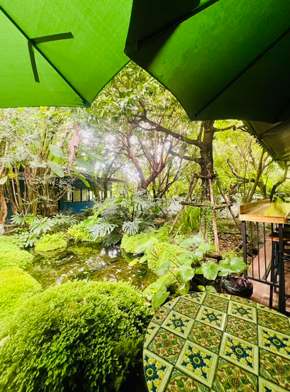 Sip, Snap & Swoon: A Ladies-Only Evening Tour in Bangkok