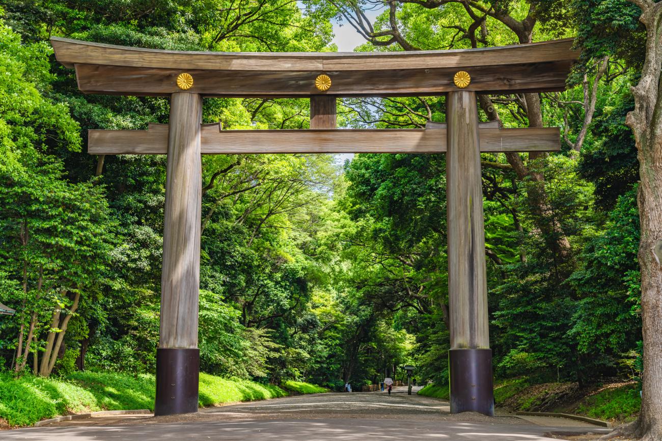 Image of 6D Iconic Japan: Skytree, Mount Fuji Views & Kyoto Temples Tour