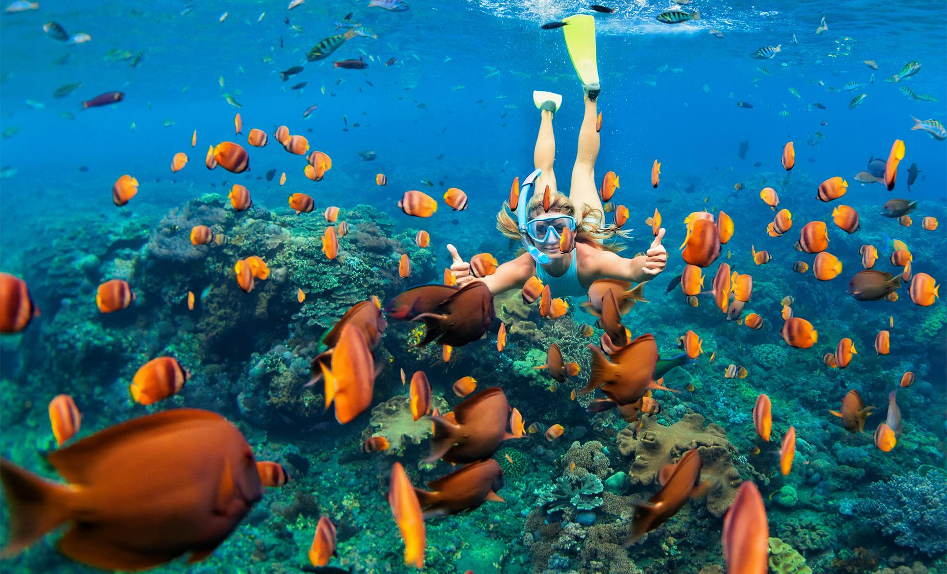 Image of Ras Mohamed Full-Day Tour from Sharm – Marine Safari & Desert