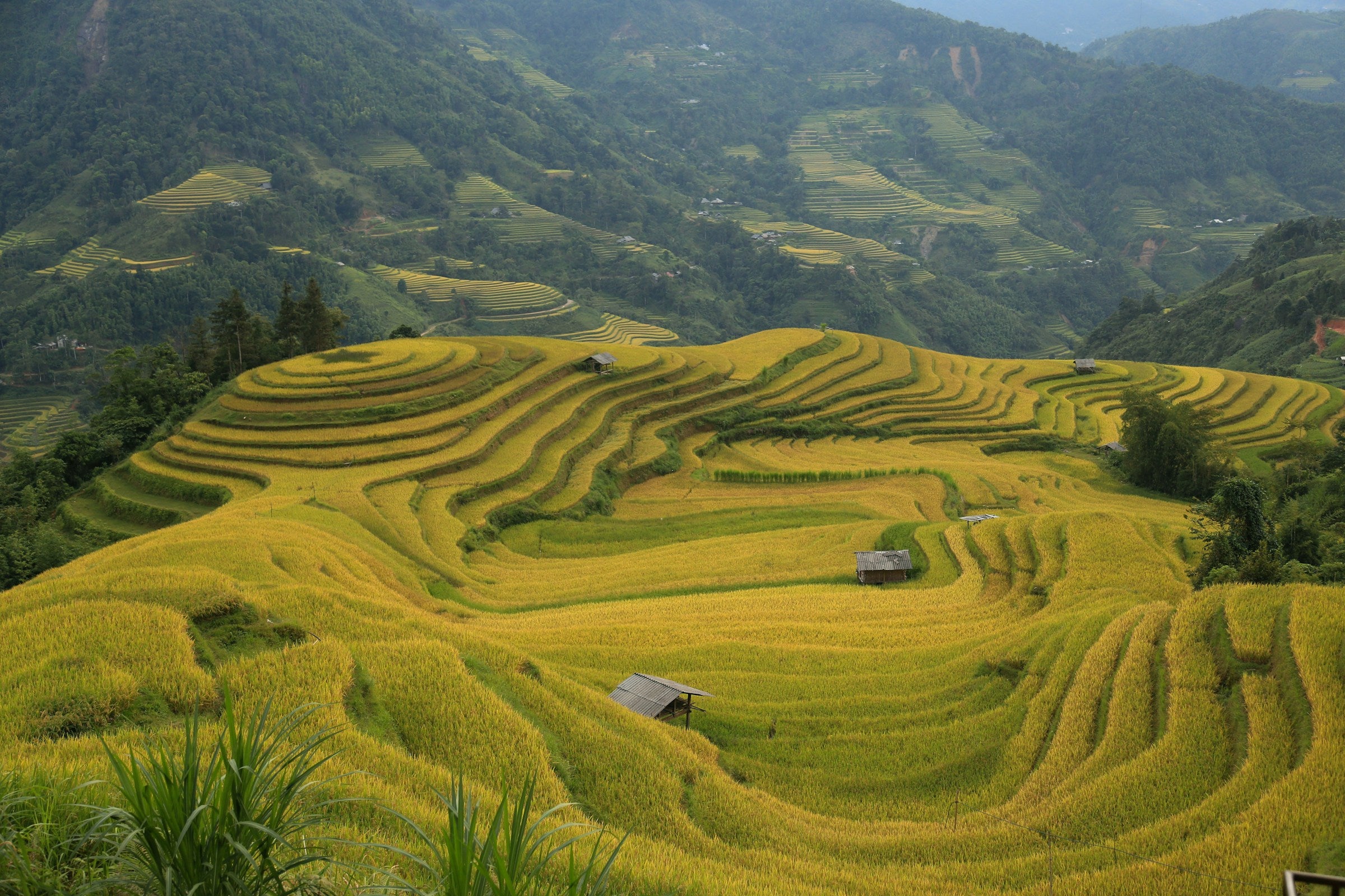 Image of 7D6N Northern Vietnam Tour – Hanoi, Sapa Trekking & Halong Bay