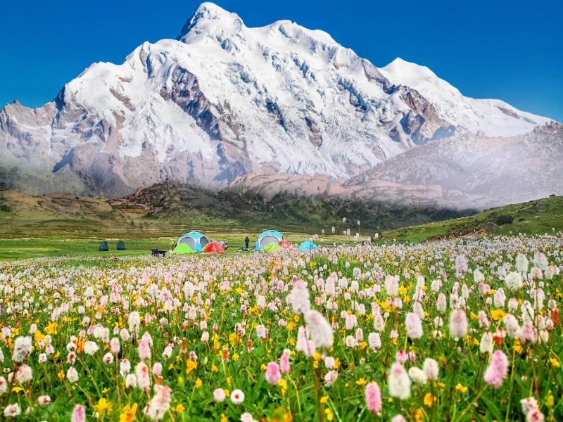 Image of Hidden Shangri-La: 7-Day Mount Genie & Southern Route Light Hiking Tour