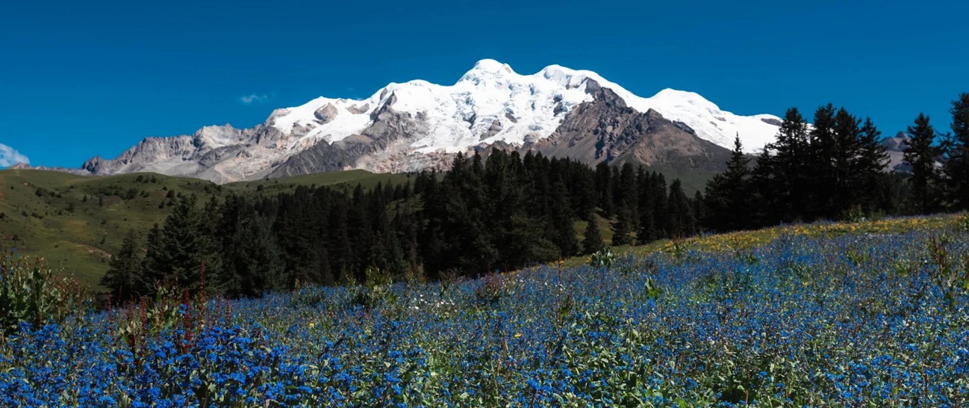 Image of Hidden Shangri-La: 7-Day Mount Genie & Southern Route Light Hiking Tour