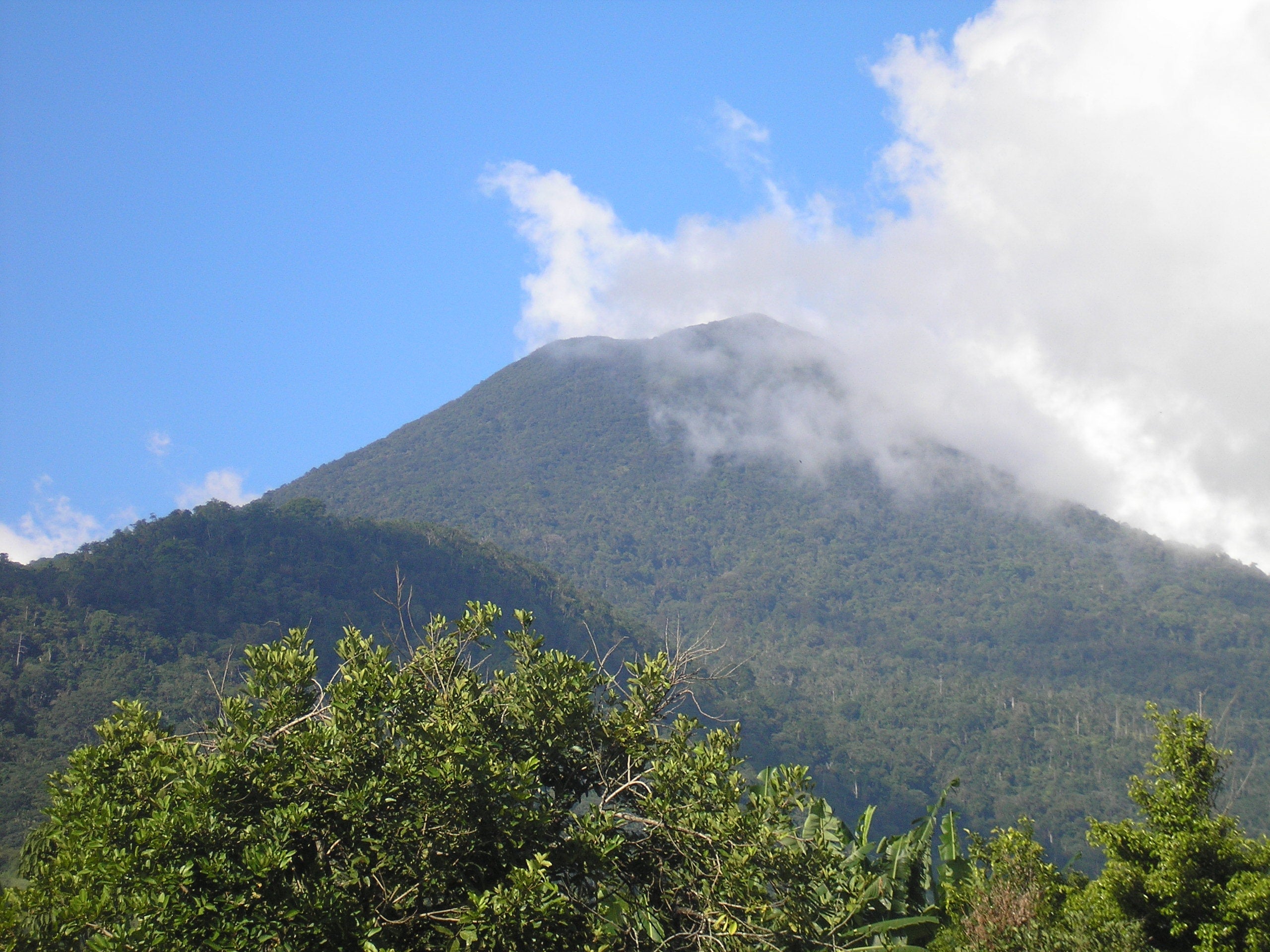 Image of 4D Sulawesi Highlights: Sunsets, Snorkels & Sulfur Lakes