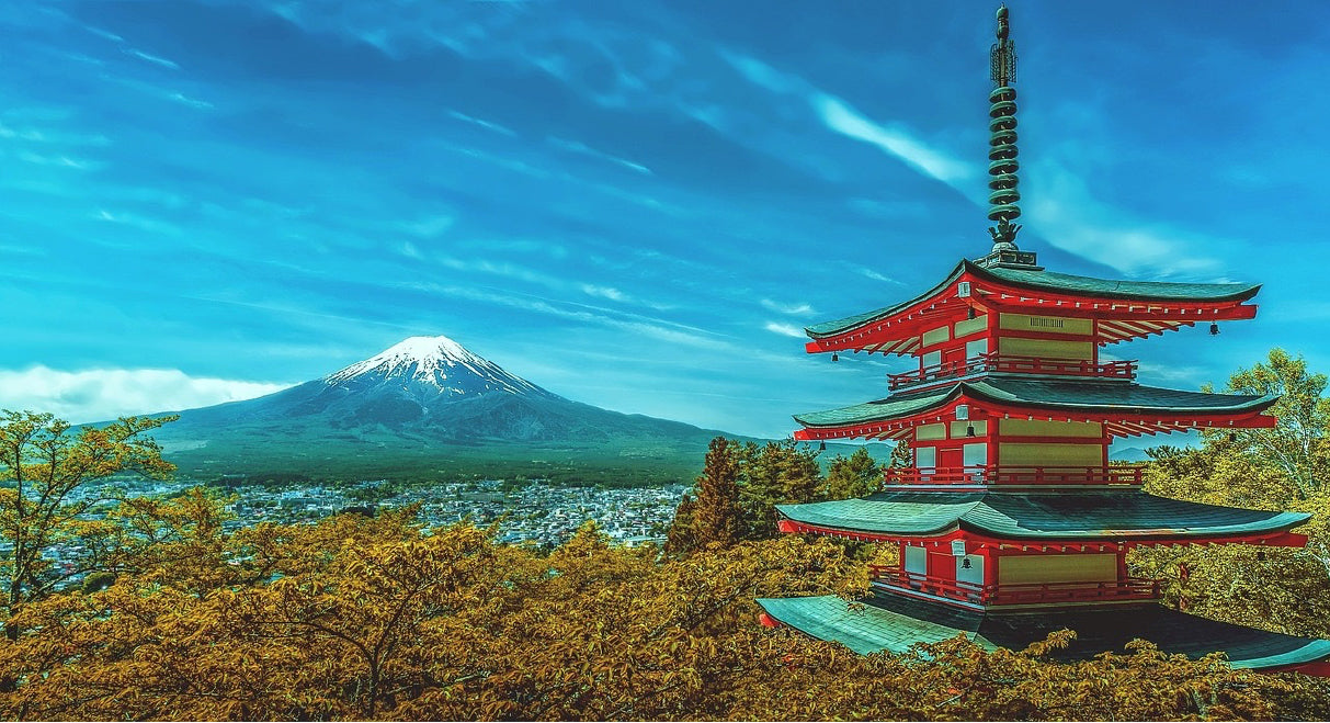 Image of Tokyo to Mt. Fuji One-Day Tour: Hakone Cruise & Japanese Seafood Lunch