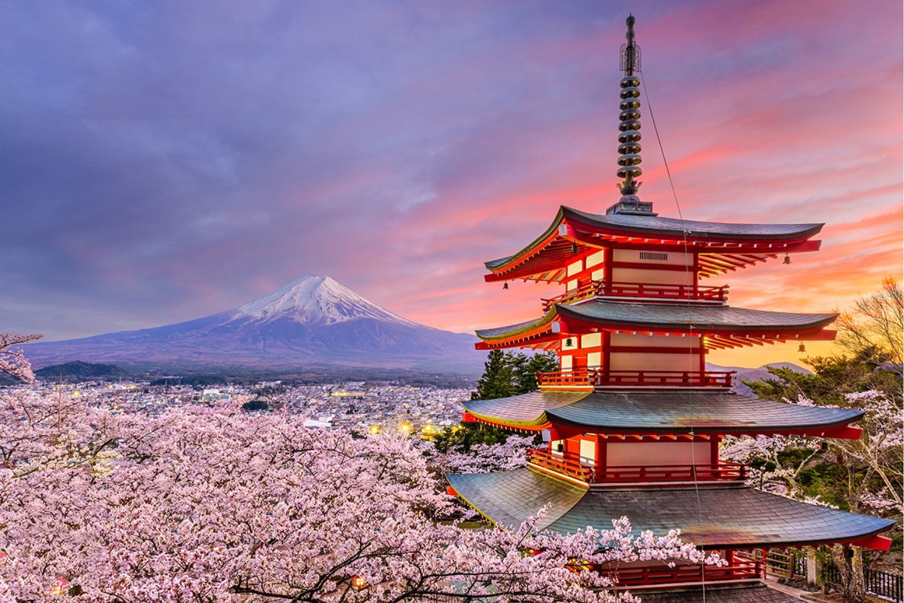 Tokyo Free & Easy 4D3N — Ueno Park or Shinjuku Base