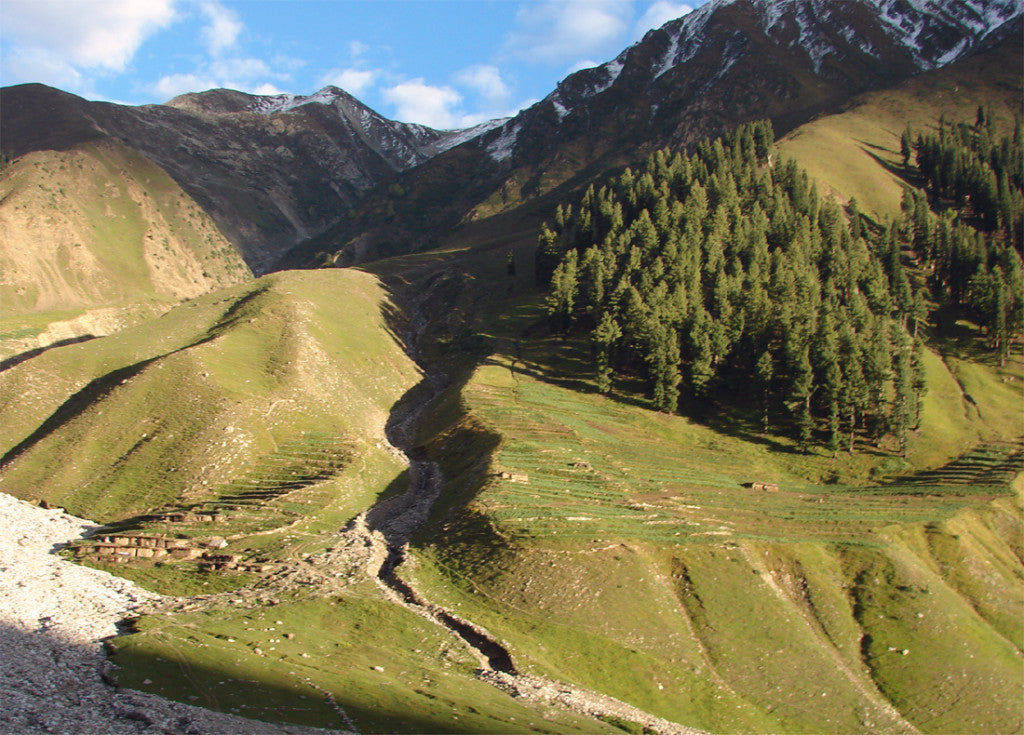 Nanga Parbat & Rush Lake Trek: Nangma Valley to Fairy Meadows Adventure