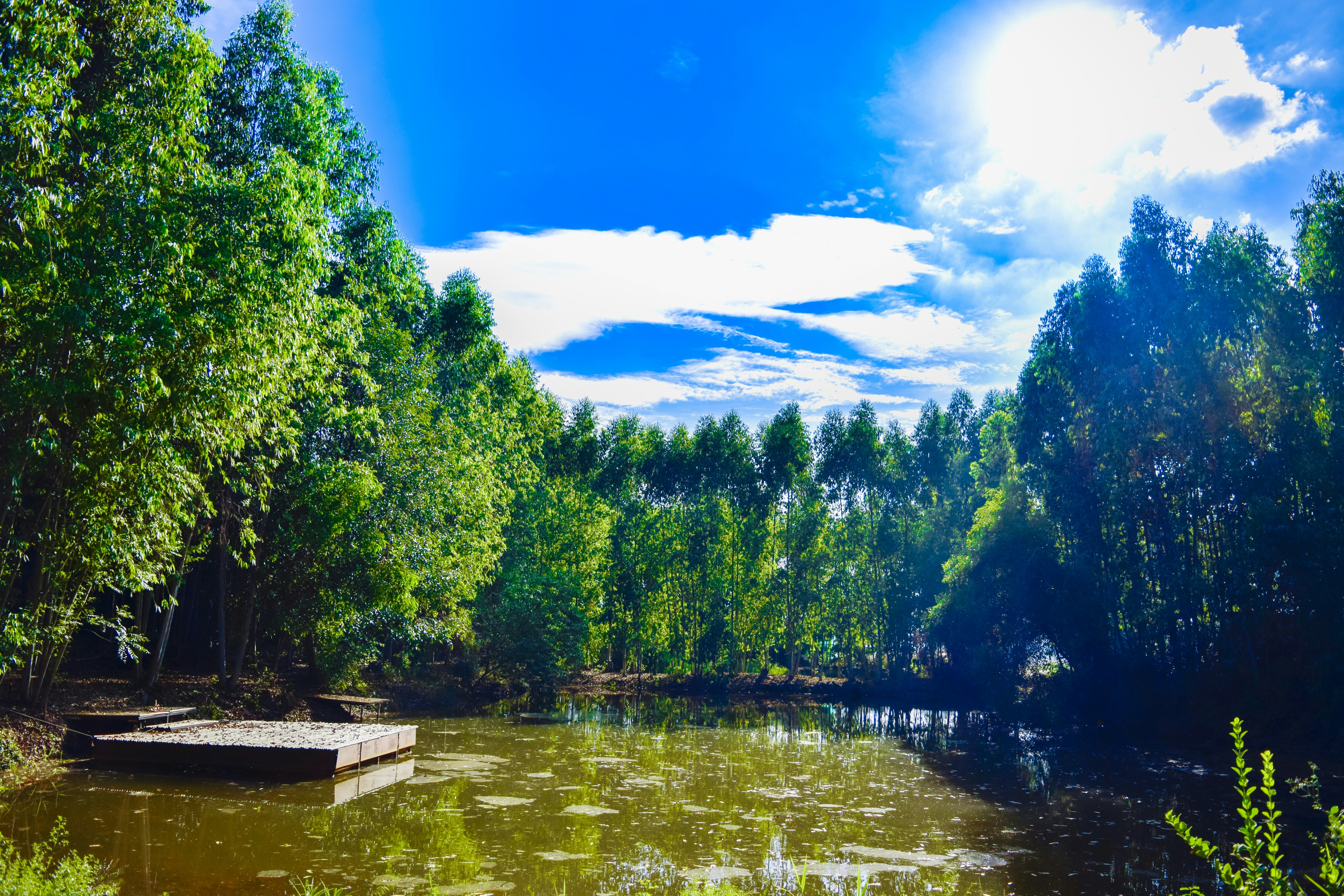 Image of All-in-One IG Café Tour from Bangkok: Forests, Boats & Night Markets