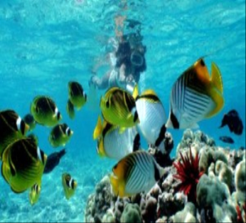 Image of 5-Day Cairo to Sharm El Sheikh Flight Package: Ancient Wonders & Beach Bliss