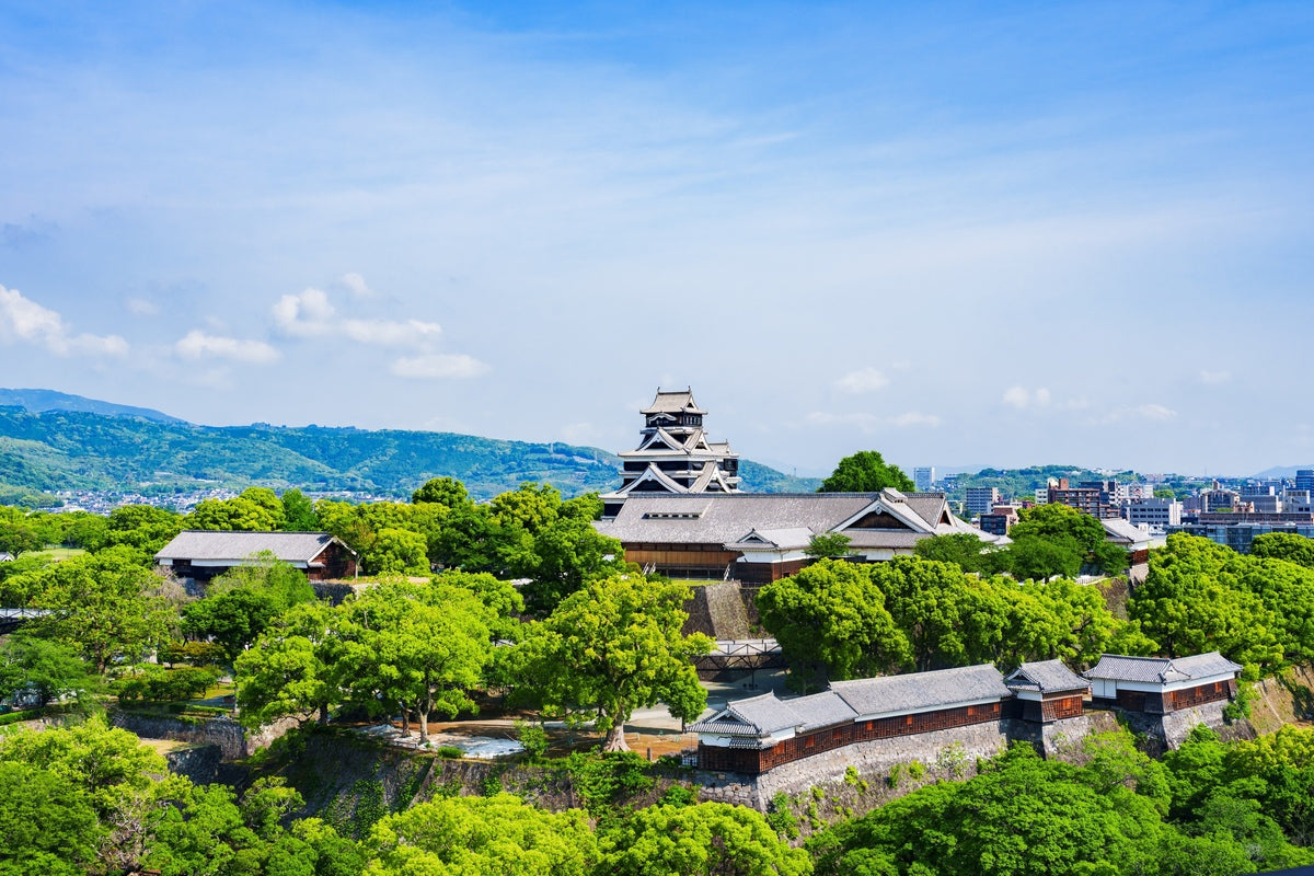 Image of Kumamoto Day Tour: Castle, Mt. Aso Crater & Shrine Visit