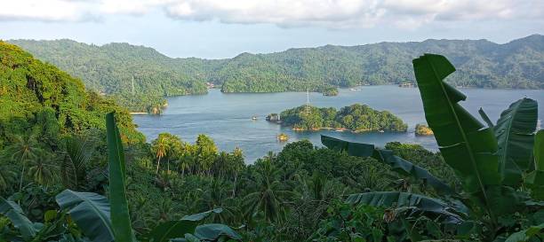 Image of Islands & Highlands of North Sulawesi (4 Days)
