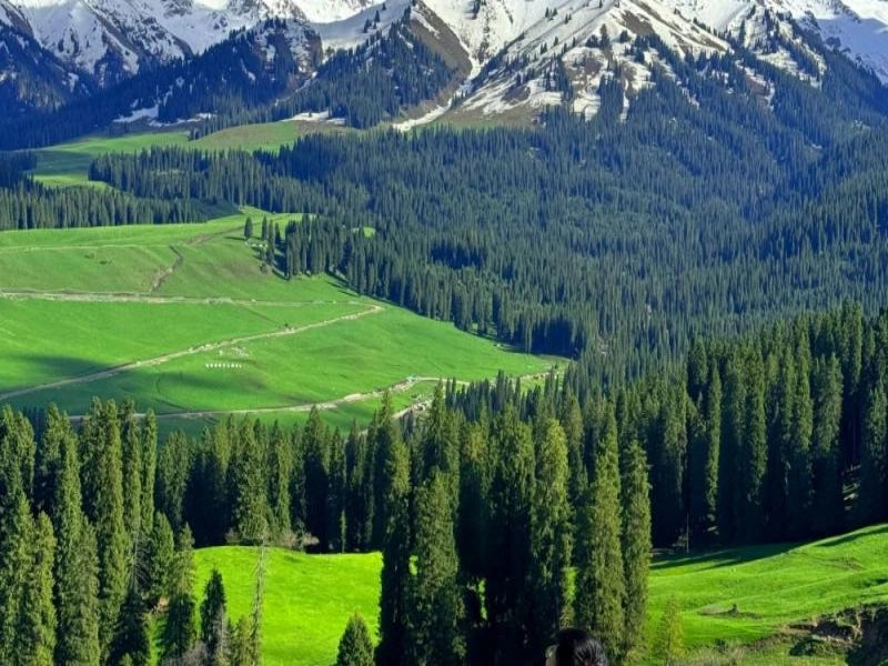 Image of 11-Day Grand Northern Xinjiang Light Trekking Tour: Altay & Yili Highlights