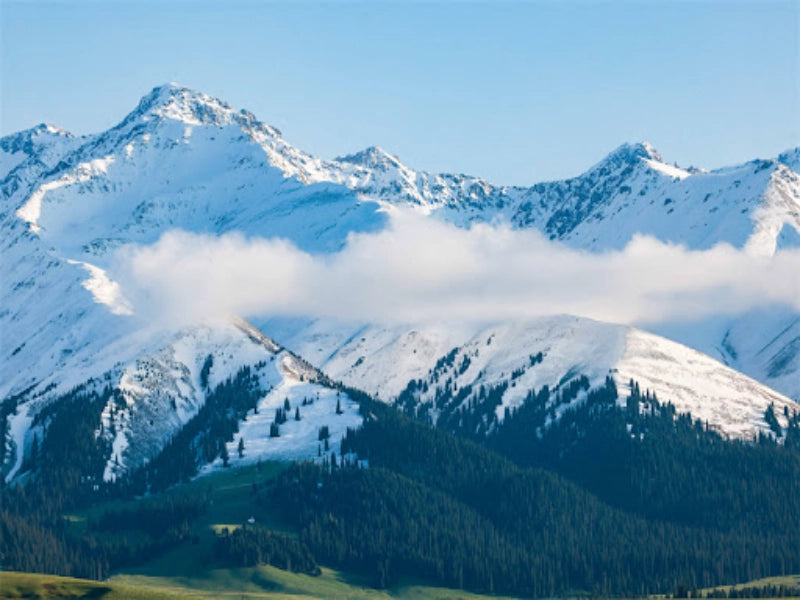 Image of 11-Day Grand Northern Xinjiang Light Trekking Tour: Altay & Yili Highlights