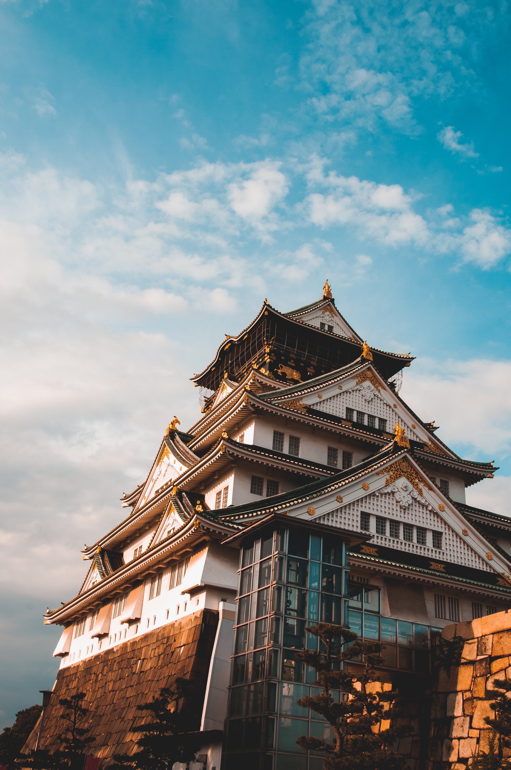 Golden Route Japan: Tokyo–Kyoto–Osaka 6D5N Autumn & Winter Tour