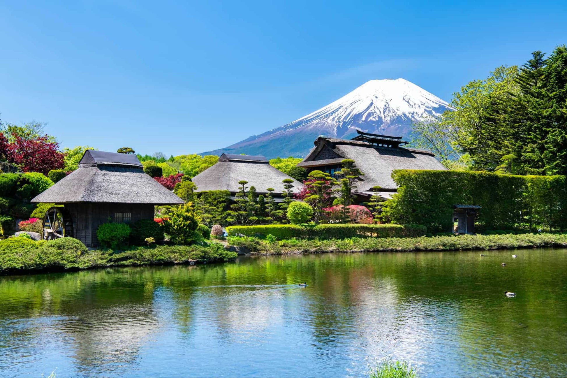 Muslim-Friendly Japan: 7D6N Halal Dining + Cultural Icons