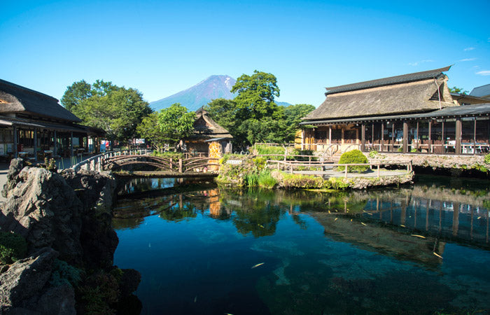 Image of Japan Golden Route Halal-Friendly Package 6D5N, Tokyo to Osaka Highlights