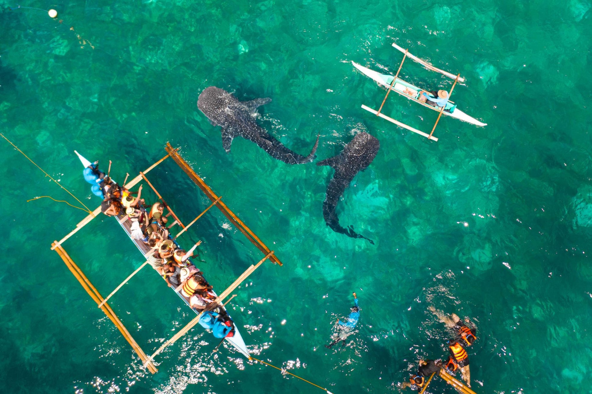 Cebu Nature & Culture 5D4N: Waterfalls, Sandbars & Garden Views