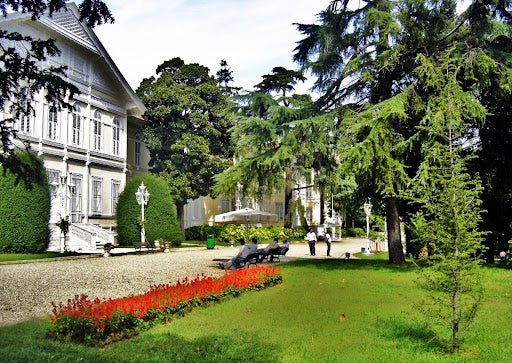 Luxury Istanbul European Side Second Day Tour Ortaköy Dolmabahçe Istiklal