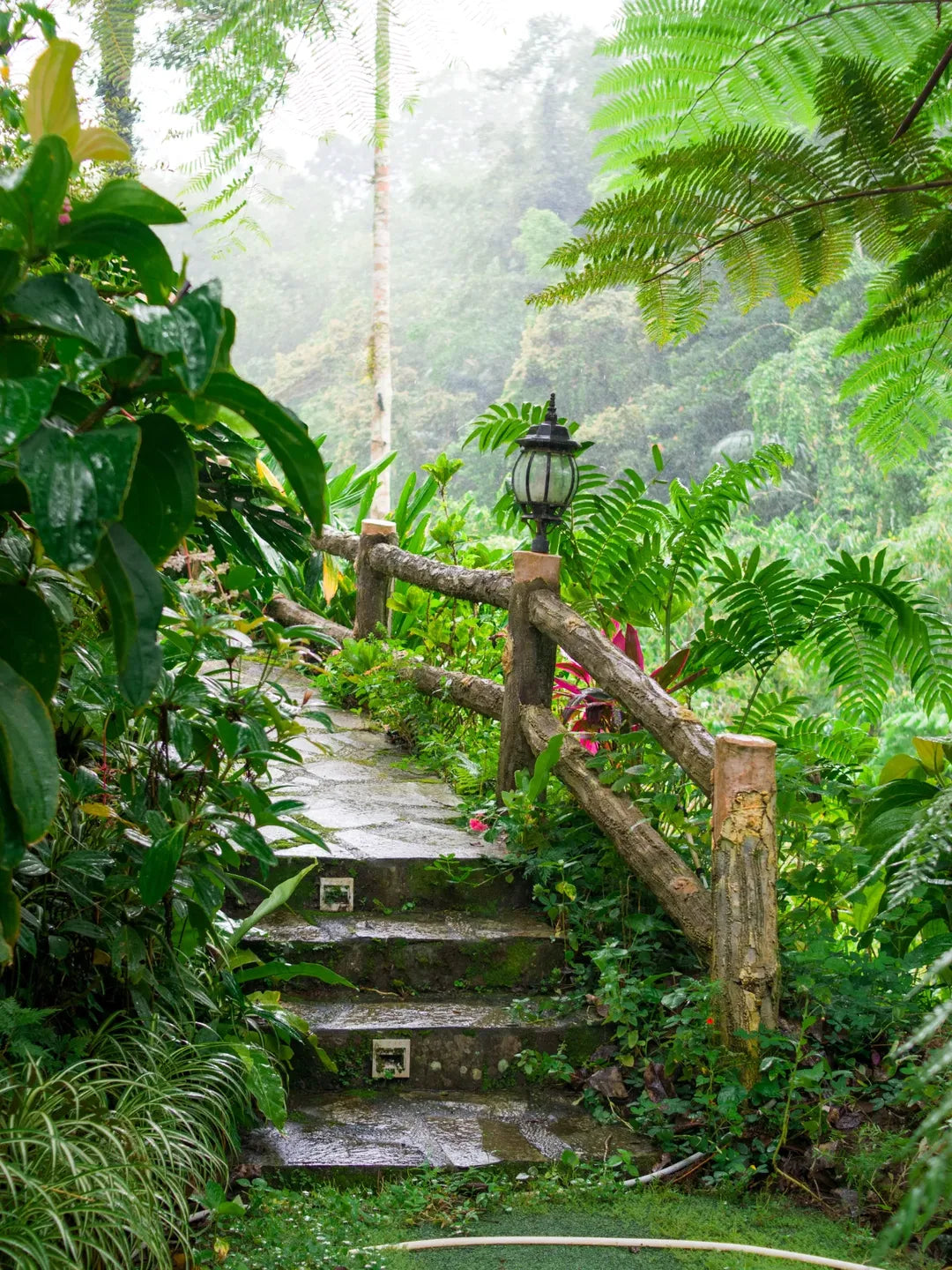 Image of 6D Manado & Tomohon Highlights: Tarsiers, Volcanoes & Bunaken