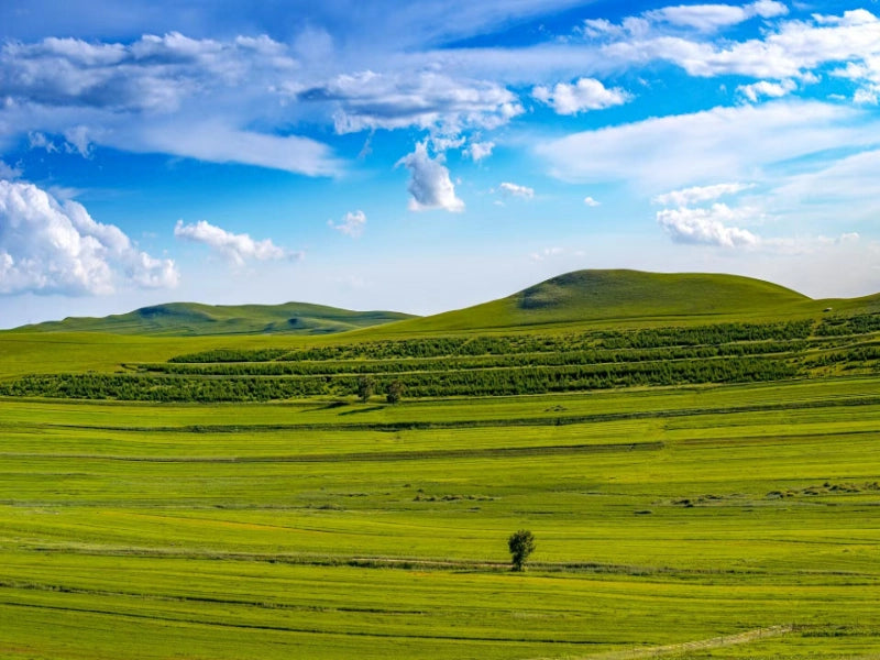 Image of Guizhou 19°C Wumeng Summer Escape 6 Days Tour