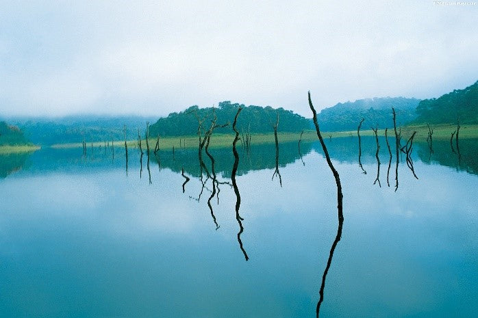 Image of 13D From Dravidian Temples to Kerala Houseboats – A Cultural Escape (5* Hotel)