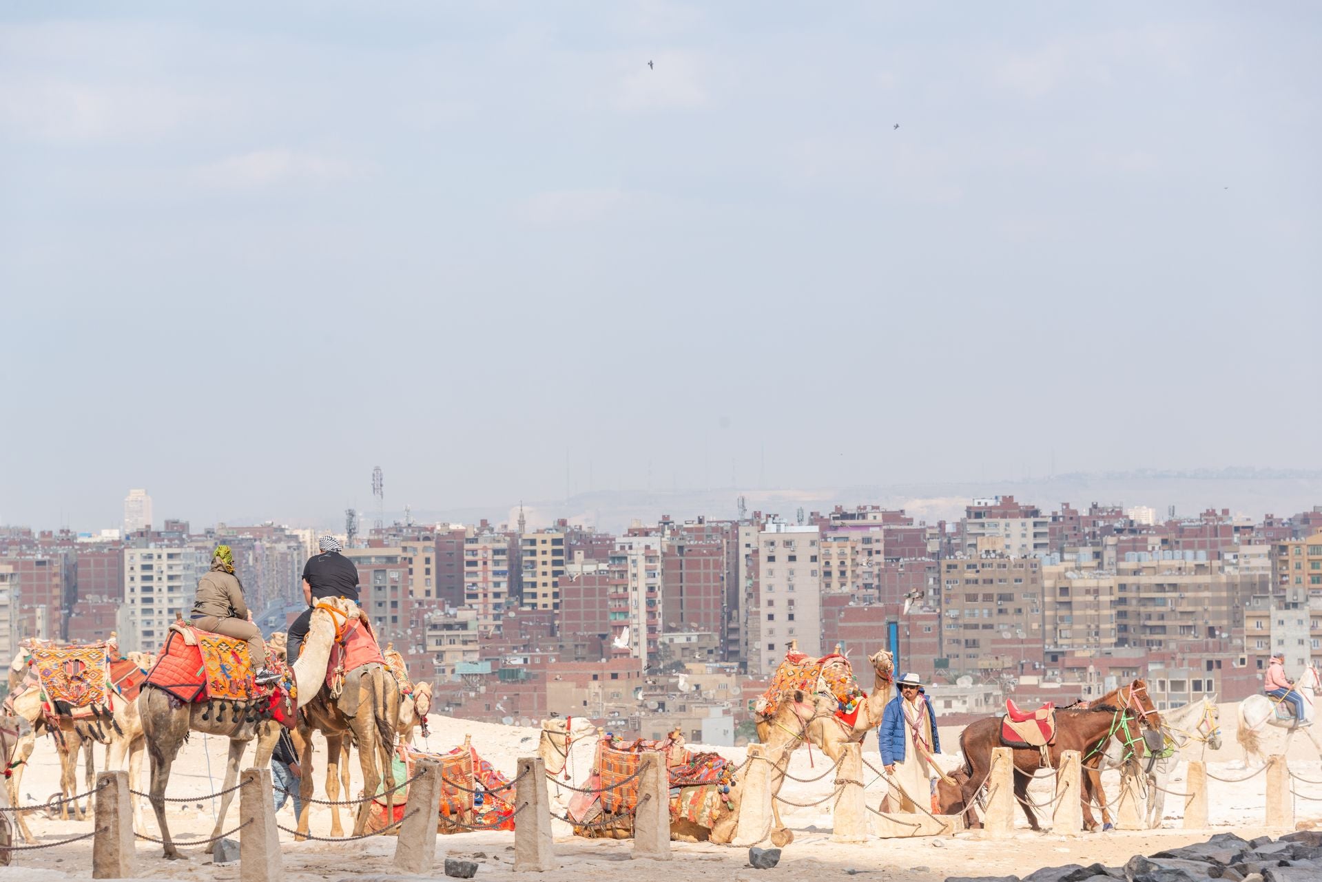 Image of Cairo & Sharm El Sheikh Tour | 7-Day Egypt 5-Star Escape