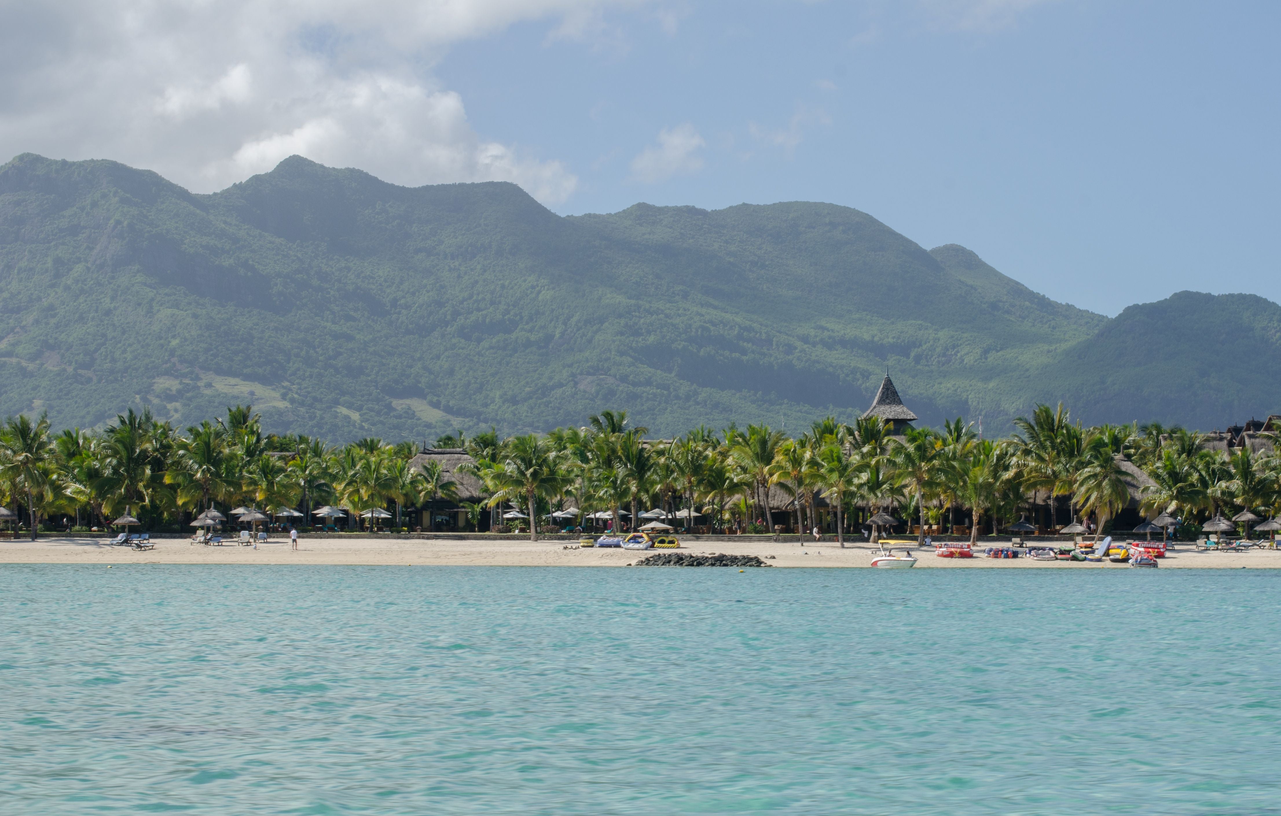 Image of Mauritius Whale & Dolphin Safari – Nature’s Most Emotional Experience