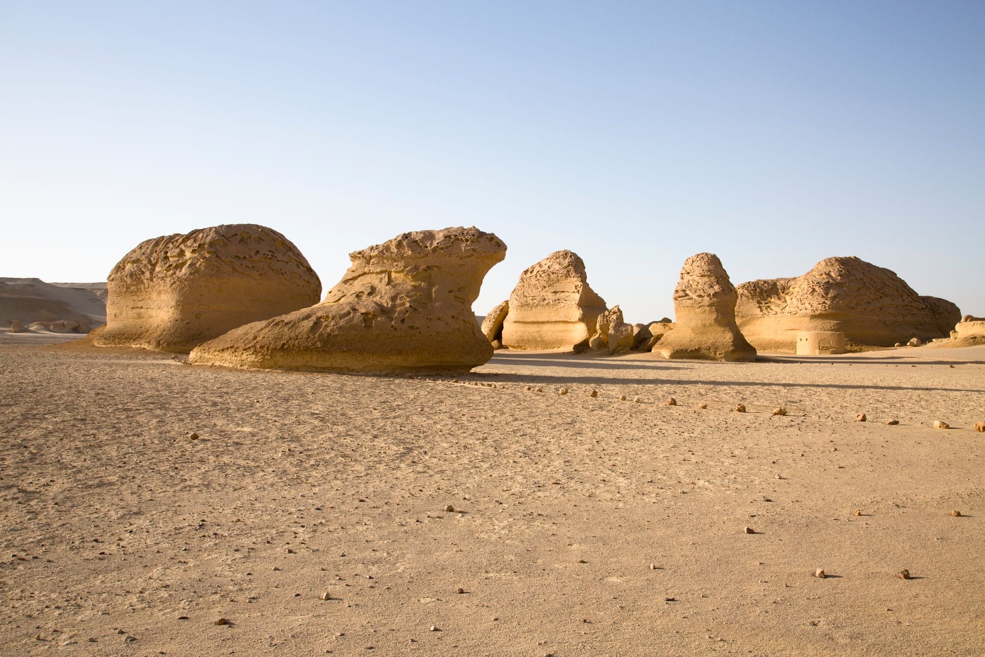 Image of Western Desert Egypt Tour | 8-Day Siwa, Bahariya & White Desert