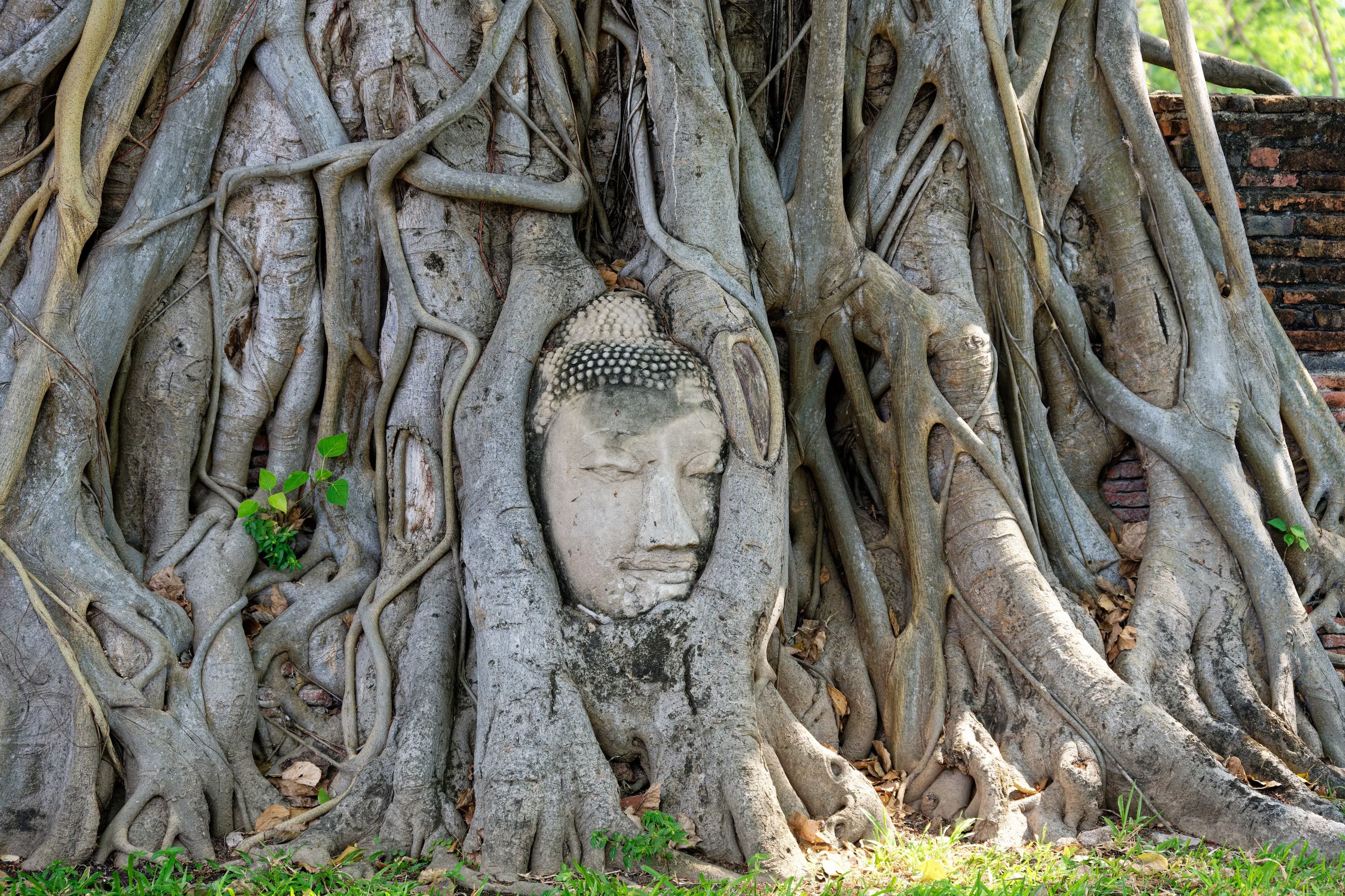 Image of Thailand Icons Day Tour: Railway Market, Floating Market & Ayutthaya