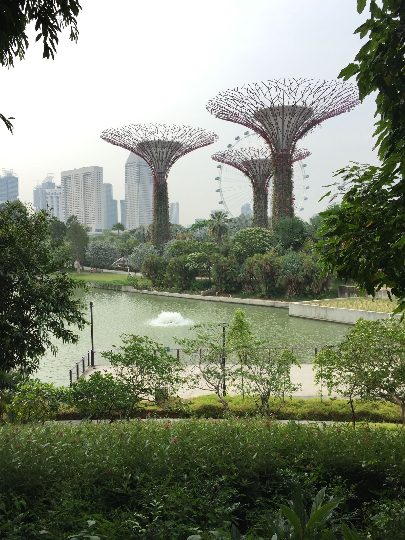 Image of Gardens by the Bay, Singapore
