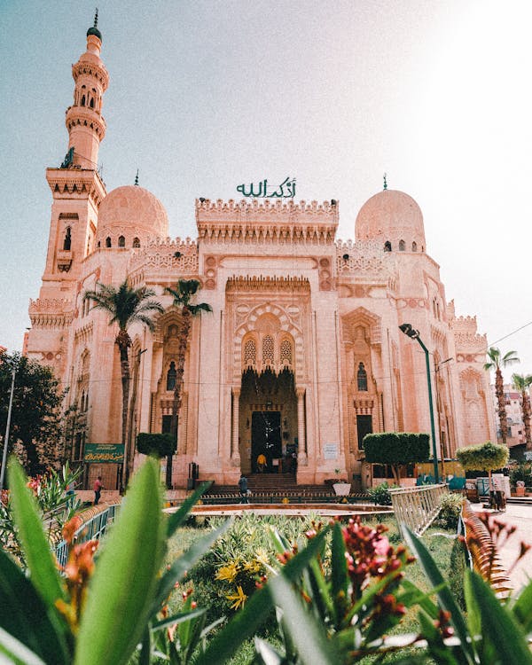 Image of 2 Day Alexandria Overnight Tour — Kom El Shoqafa, Qaitbay & Montaza Gardens